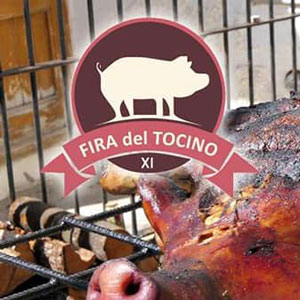 xi-fira-del-tocino-caseres2019-300